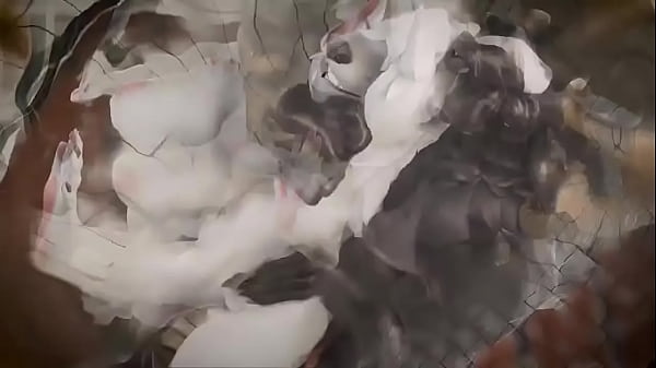 Diversão garantida no banheiro entre casal safado