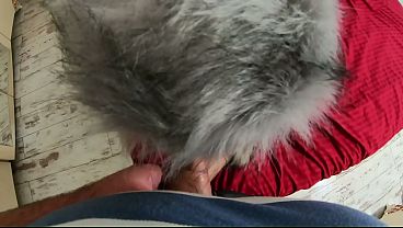 Fetiche De Pelúcia E Casaco Luxuoso Terminam Com Gozada Na Roupa